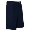 Shorts * | Footjoy Lite Fit Golf Shorts 90181 Navy